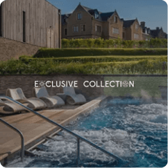 Exclusive Collection